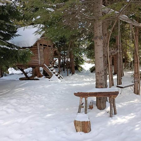 "Моето Любимо Място", Смолянски Езера - "My Favorite Place", Smolyan Lakes 외부 사진