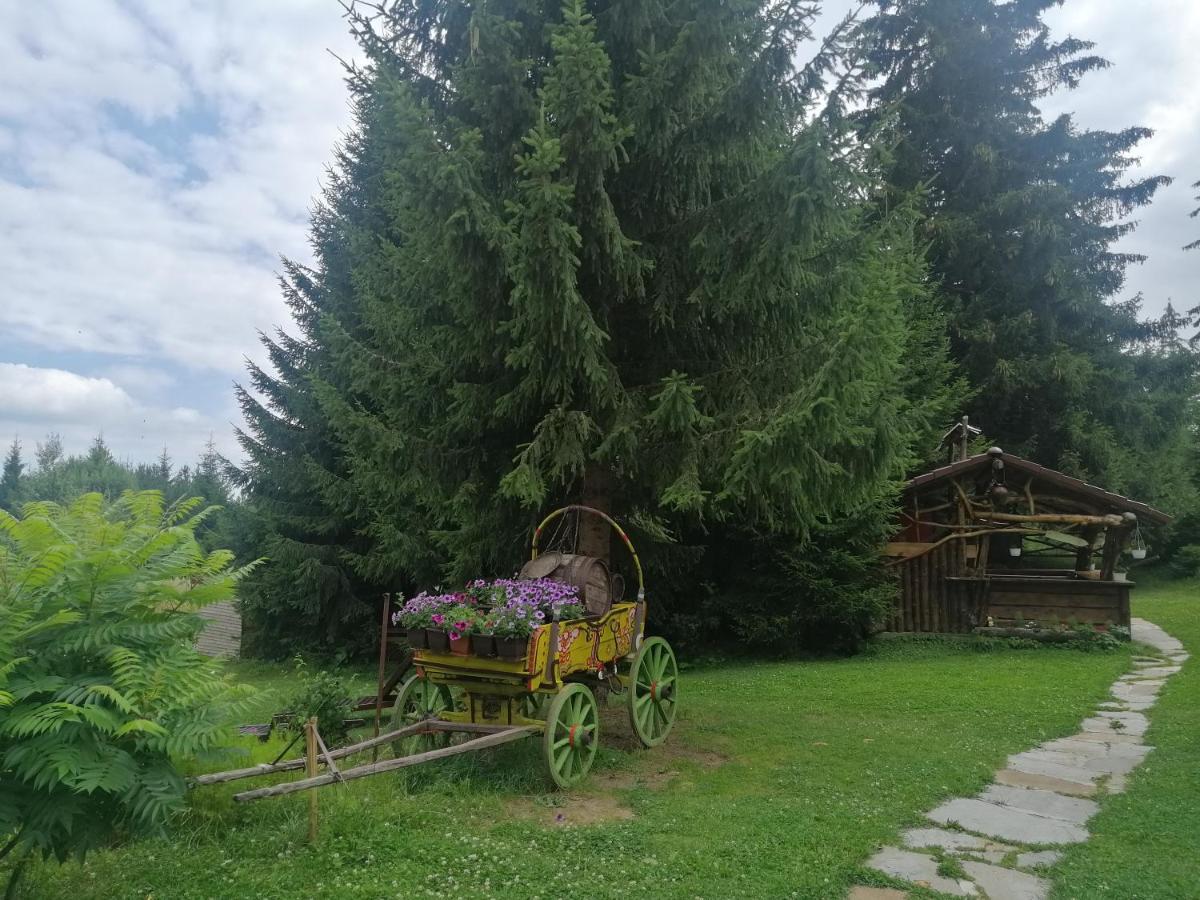 "Моето Любимо Място", Смолянски Езера - "My Favorite Place", Smolyan Lakes 외부 사진