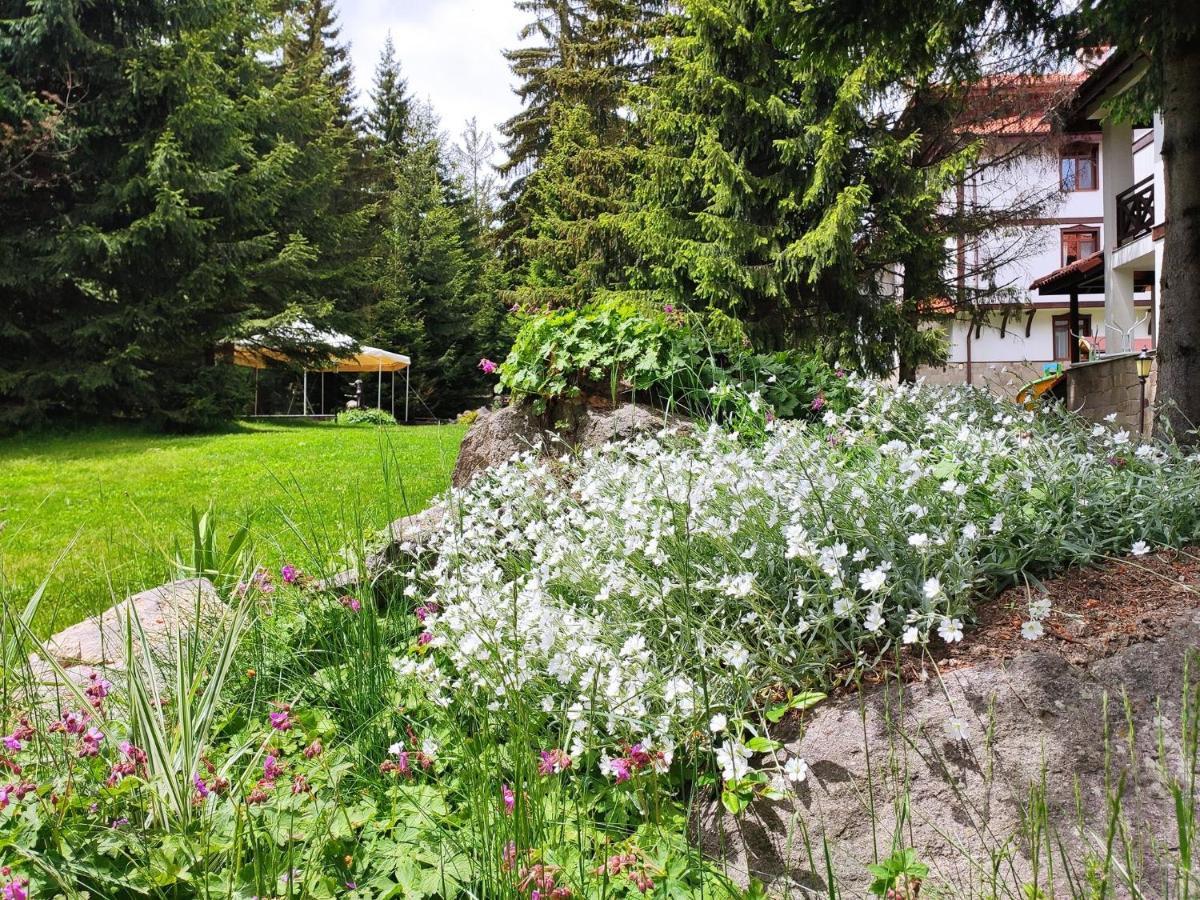 "Моето Любимо Място", Смолянски Езера - "My Favorite Place", Smolyan Lakes 외부 사진