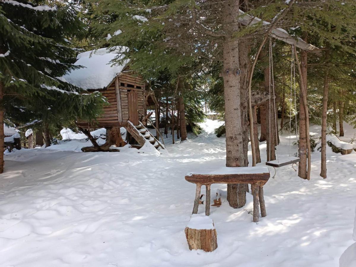 "Моето Любимо Място", Смолянски Езера - "My Favorite Place", Smolyan Lakes 외부 사진